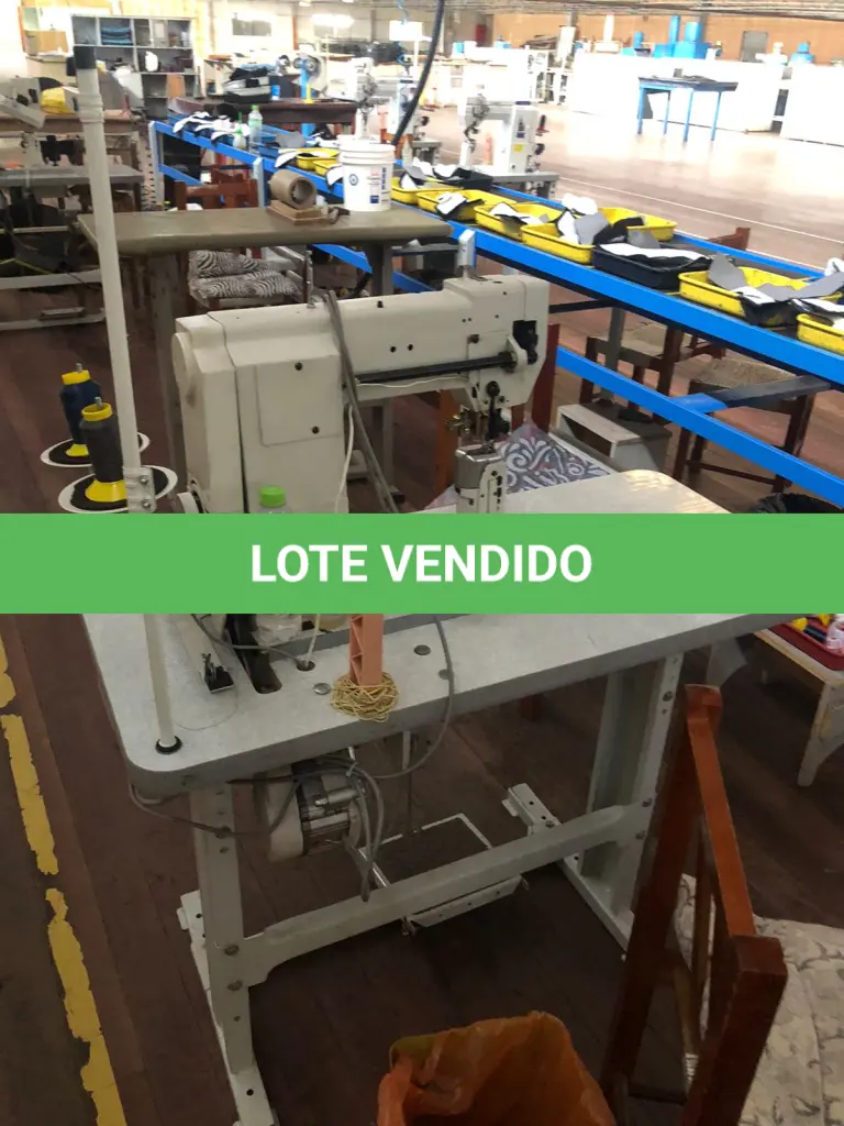 LOTE 142