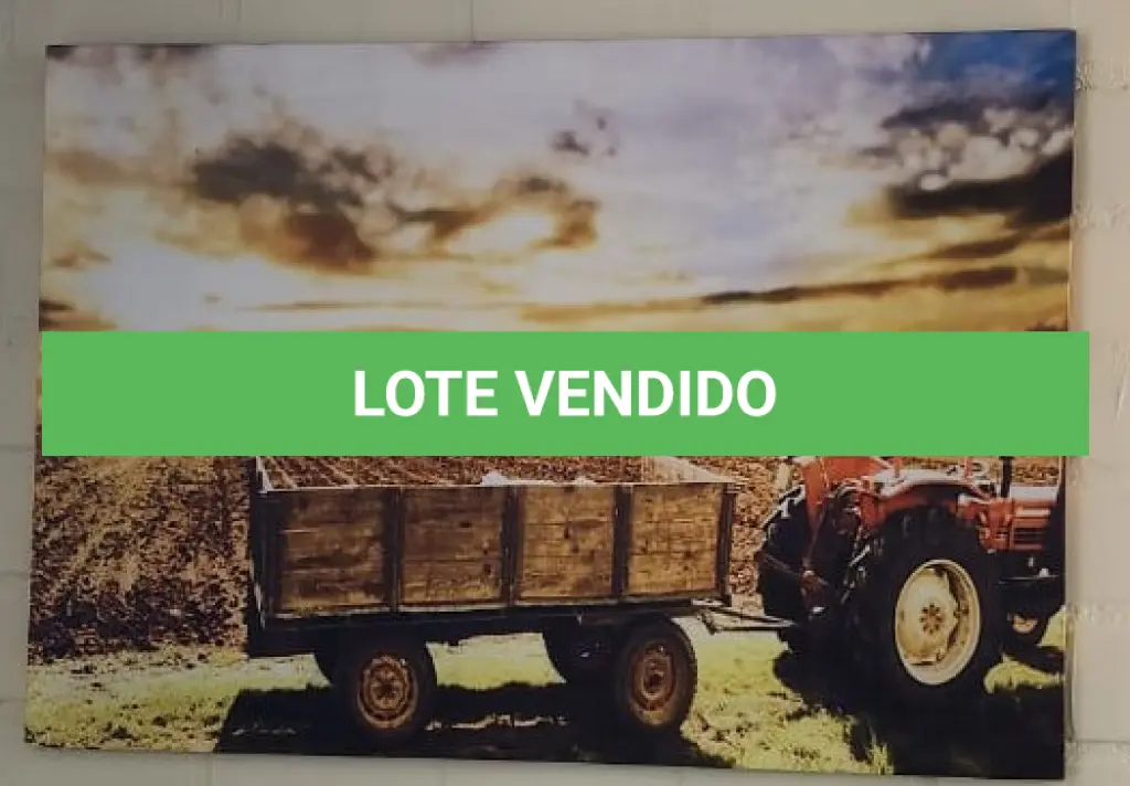 LOTE 125