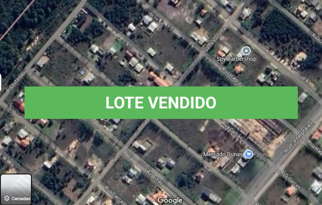 LOTE 001