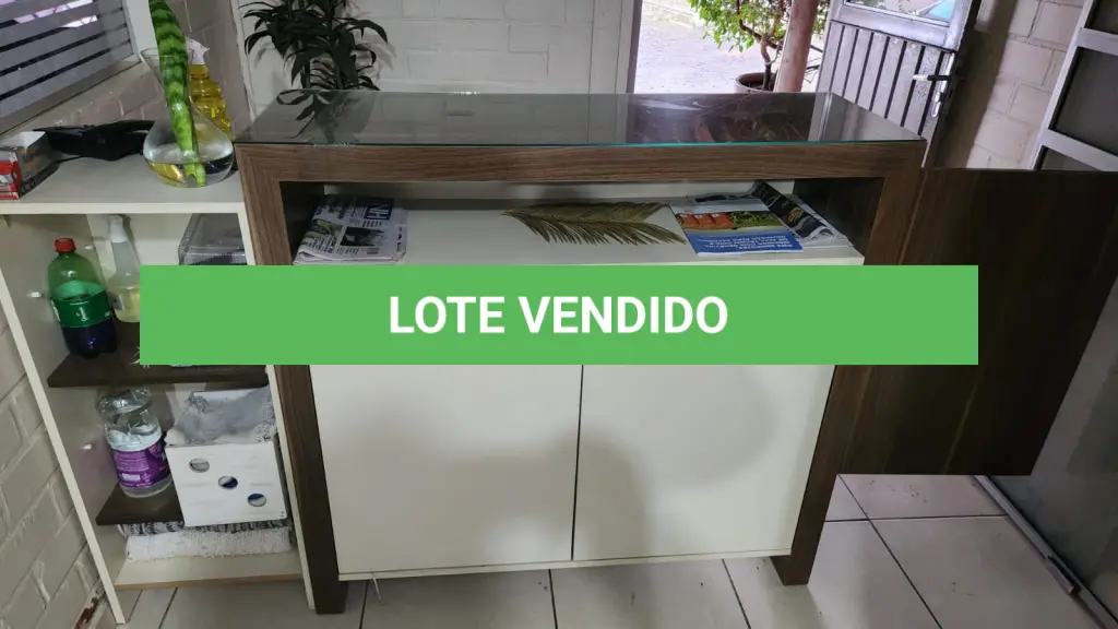 LOTE 167