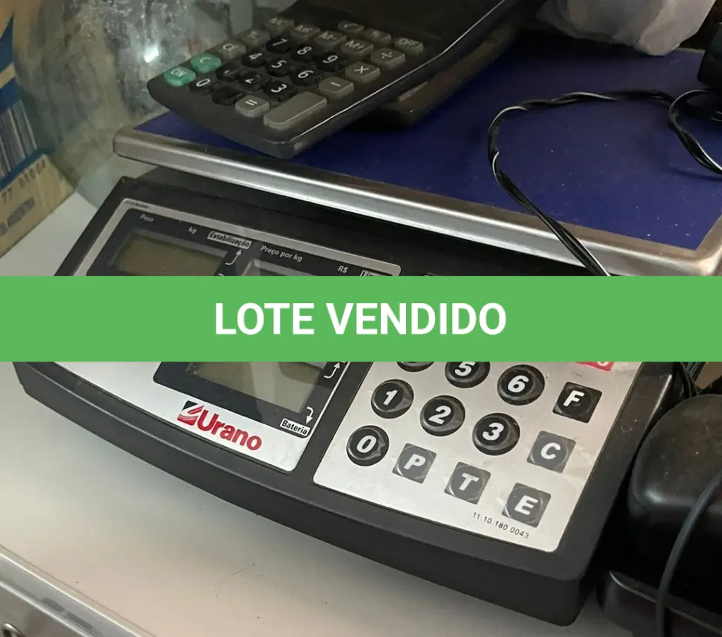 LOTE 173