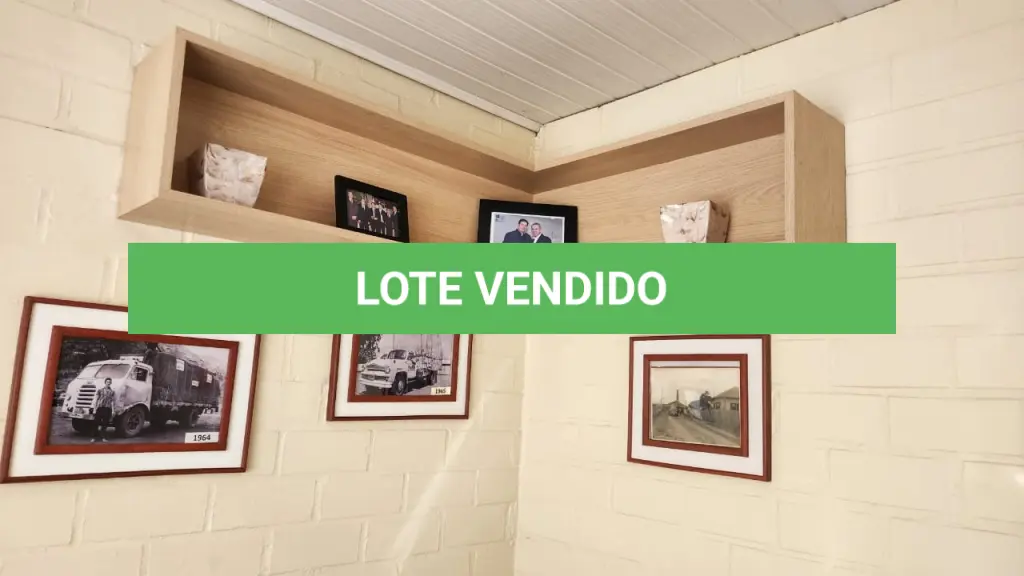 LOTE 143