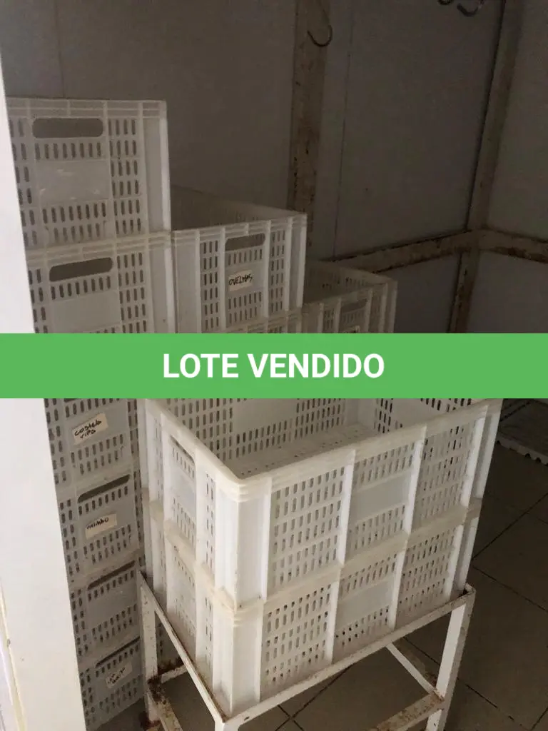 LOTE 245
