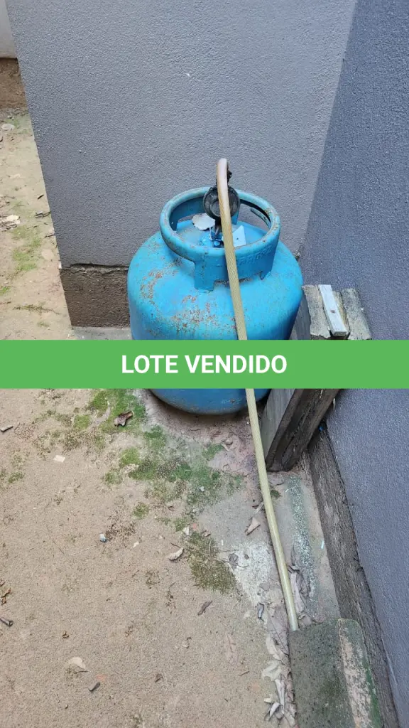 LOTE 207