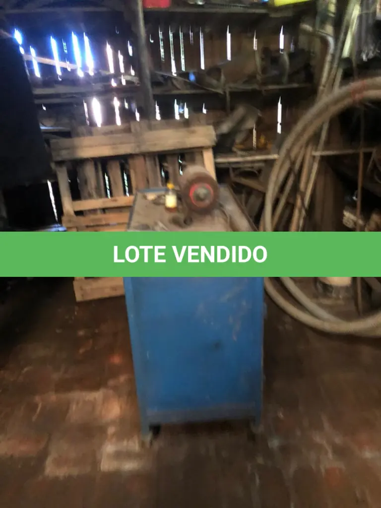 LOTE 081