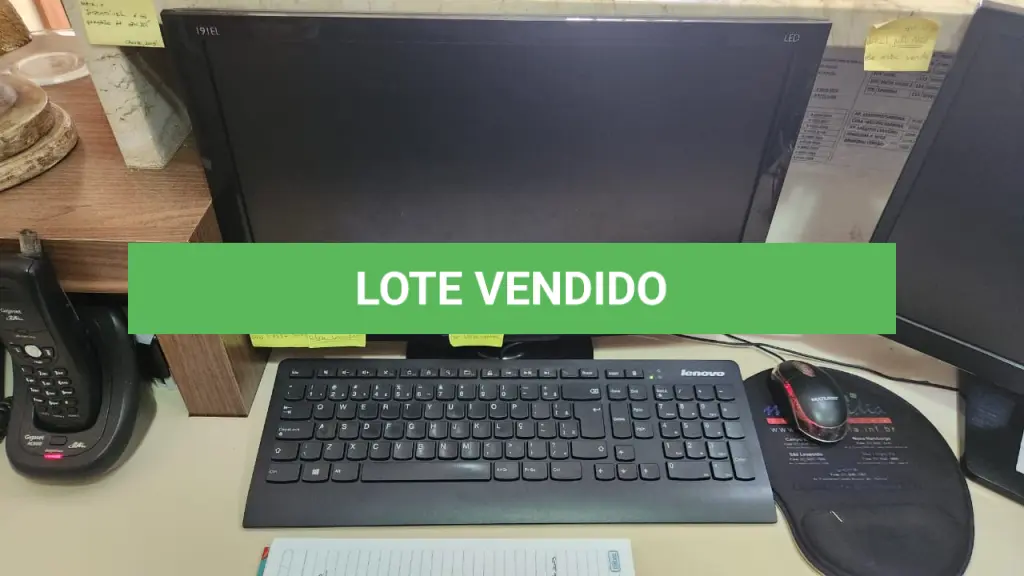 LOTE 131