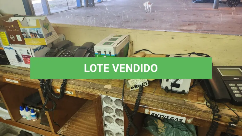 LOTE 029