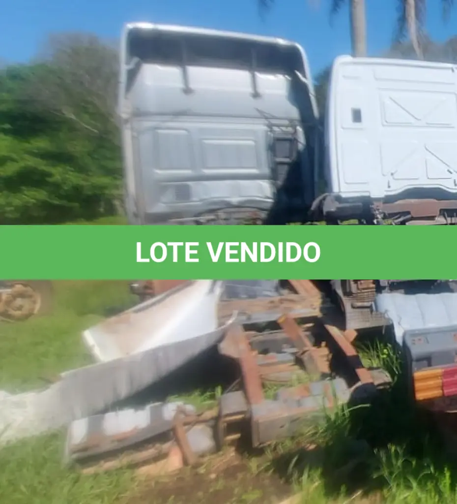 LOTE 007