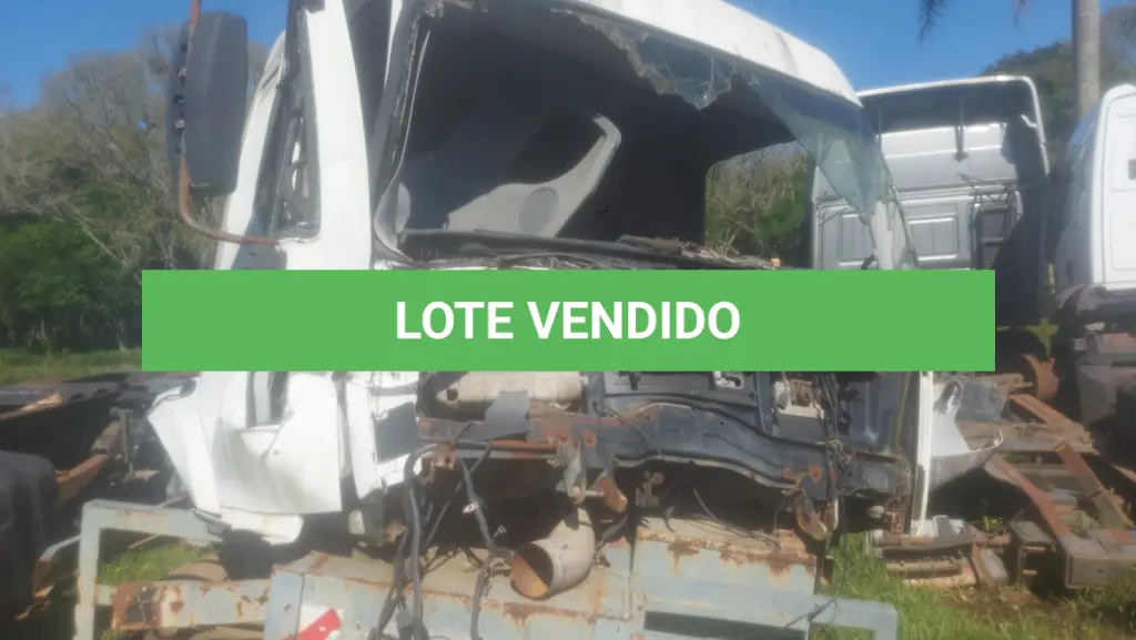 LOTE 003