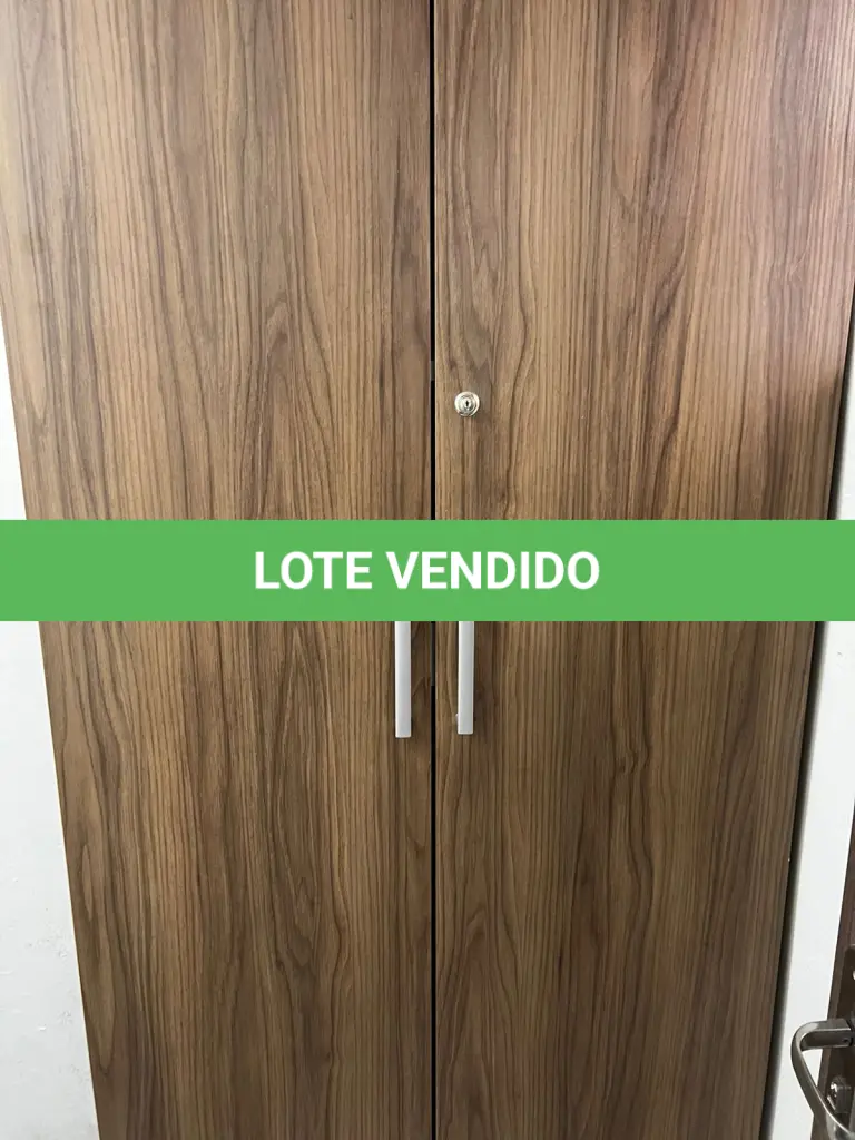 LOTE 029
