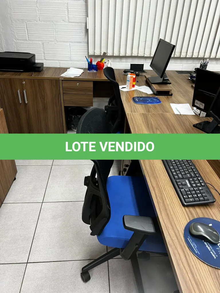 LOTE 019
