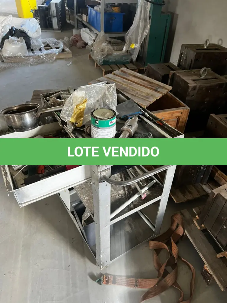 LOTE 000