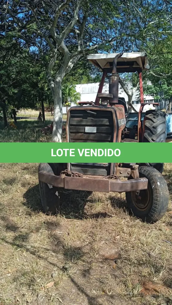 LOTE 018