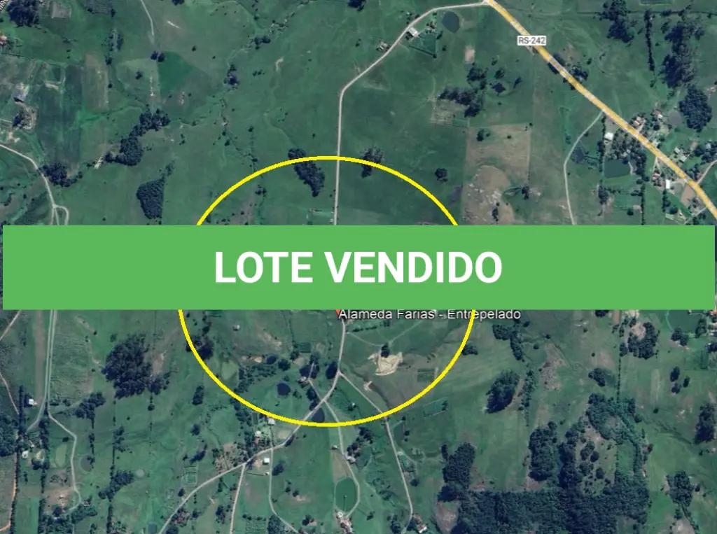 LOTE 029