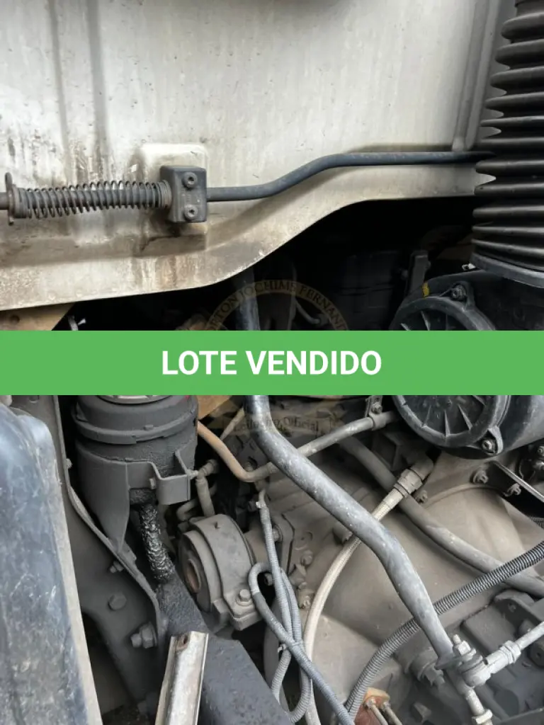 LOTE 006