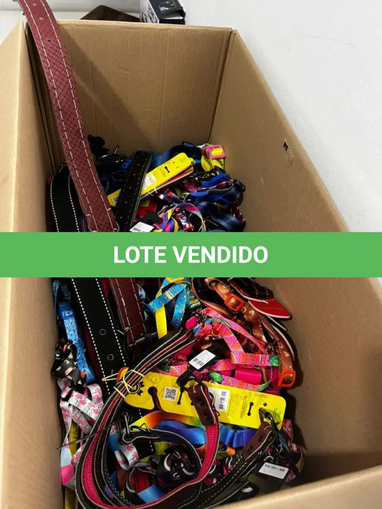 LOTE 001