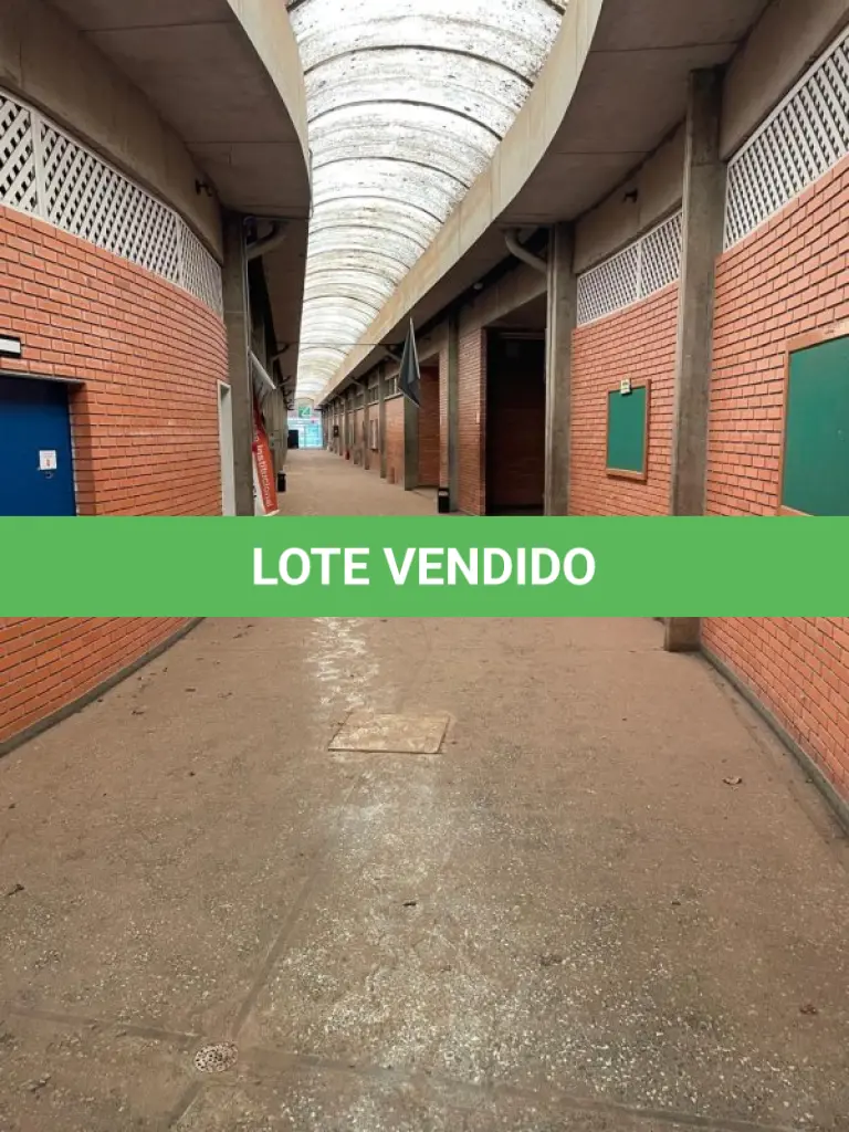 LOTE 001