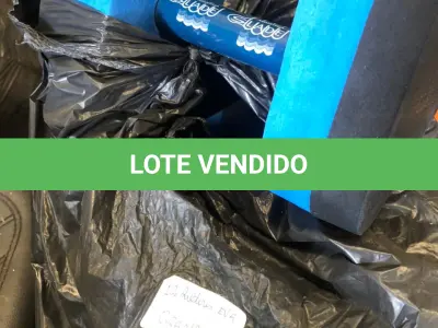 LOTE 091 - halteres eva grandes