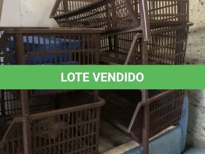 LOTE 100 - cestas plasticas