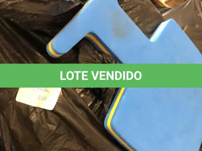 LOTE 096 - pranchas de eva