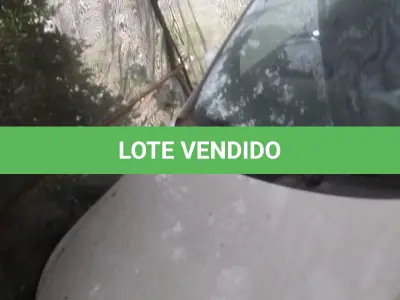 LOTE 1 - LOTE ENGLOBADO DE TODOS LOTES DO LEILÃO