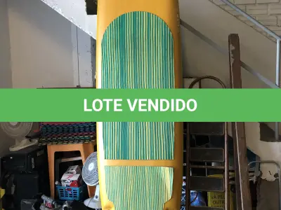 LOTE 076 - pranchas stand up paddle