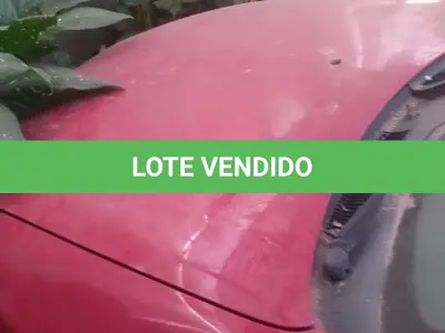 LOTE 1 - LOTE ENGLOBADO DE TODOS LOTES DO LEILÃO