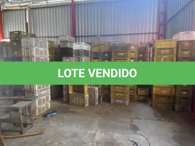 LOTE 044 - lote de caixas plásticas