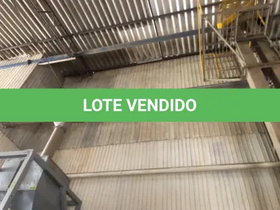 LOTE 040 - ROSCA TRANSPORTADORA REAL 10 MTS  COM MOTOR, ano 2010