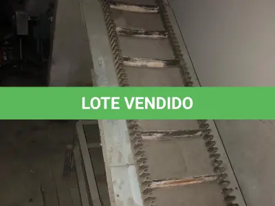 LOTE 021 - ESTEIRA C/ ESTRUTURA