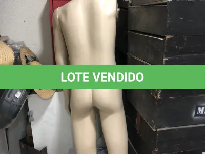 LOTE 046 - Lote com guilhotina, esmerilhadeiras, serras, parafusos, banquetas, manequim, catalogos, cortinas, fitas de borda, serra circular, lixadeiras, engraxadeira, cones, cintas, catracas, vaso, cintos alpinista, prateleira, balcão, armarios, silicones, soprador de calor, etc 