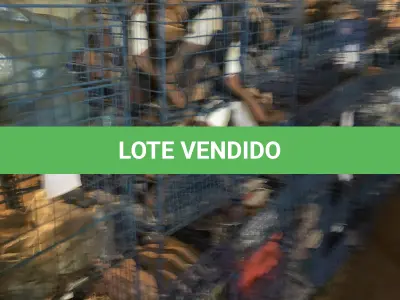 LOTE 146 - lote de caixas vazadas metálicas de empilhar