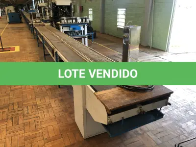 LOTE 194 - Esteira com 60 metros 