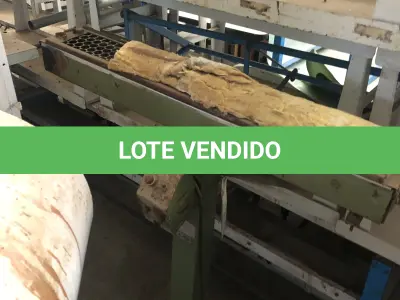 LOTE 046 - forninho