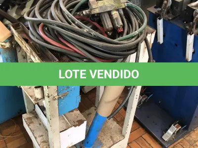 LOTE 413 - Mangueira 
