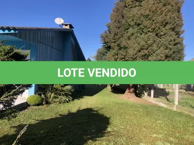 LOTE 001 - Uma área de terras c/20.000m²