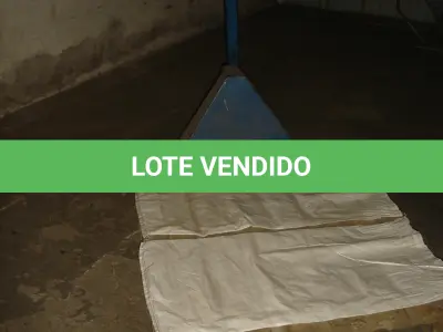 LOTE 034 - 2 carrinhos paletrans