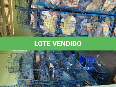 LOTE 435 - Lote de caixas de metal 