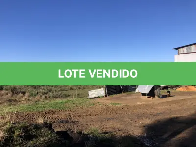 LOTE 001 - Uma área de terras c/20.000m²