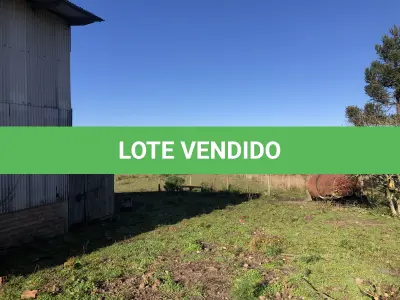 LOTE 001 - Uma área de terras c/20.000m²
