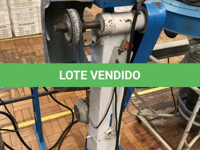 LOTE 281 - escova simples