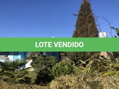LOTE 001 - Uma área de terras c/20.000m²