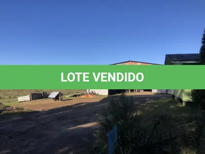 LOTE 001 - Uma área de terras c/20.000m²