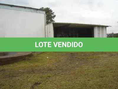 LOTE 026 - lote de palets de madeira