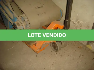 LOTE 034 - 2 carrinhos paletrans