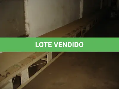 LOTE 054 - esteira de rolete com 7 metros
