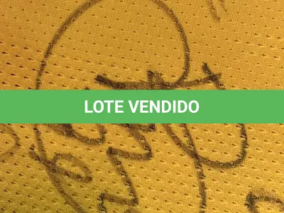 LOTE 001 - CAMPANHA DE DOAÇÃO - LEILÃO DE CAMISA DO JOGADOR TIAGO SILVA DA SELEÇÃO BRASILEIRA AUTOGRAFADA POR TODOS OS JOGADORES - CAMISA COM O LEILOEIRO A DISPOSIÇÃO PARA VISITAÇÃO - AJUDAR ESSA NOBRE CAUSA NÃO TEM PREÇO - PARA CADASTRO RÁPIDO CONTATE O LEILOEIRO 51.991165051