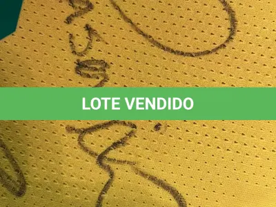 LOTE 001 - CAMPANHA DE DOAÇÃO - LEILÃO DE CAMISA DO JOGADOR TIAGO SILVA DA SELEÇÃO BRASILEIRA AUTOGRAFADA POR TODOS OS JOGADORES - CAMISA COM O LEILOEIRO A DISPOSIÇÃO PARA VISITAÇÃO - AJUDAR ESSA NOBRE CAUSA NÃO TEM PREÇO - PARA CADASTRO RÁPIDO CONTATE O LEILOEIRO 51.991165051
