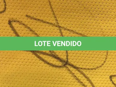 LOTE 001 - CAMPANHA DE DOAÇÃO - LEILÃO DE CAMISA DO JOGADOR TIAGO SILVA DA SELEÇÃO BRASILEIRA AUTOGRAFADA POR TODOS OS JOGADORES - CAMISA COM O LEILOEIRO A DISPOSIÇÃO PARA VISITAÇÃO - AJUDAR ESSA NOBRE CAUSA NÃO TEM PREÇO - PARA CADASTRO RÁPIDO CONTATE O LEILOEIRO 51.991165051