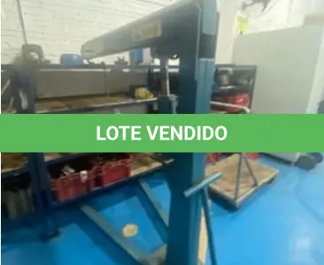 LOTE 049 - Guincho hidráulico